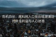 危机四伏：黑料网入口背后暗潮涌动的商业利益与人心迷局