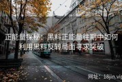 正能量探秘：黑料正能量往期中如何利用黑料反转局面寻求突破