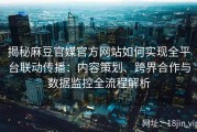 揭秘麻豆官媒官方网站如何实现全平台联动传播：内容策划、跨界合作与数据监控全流程解析