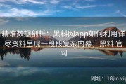 精准数据剖析：黑料网app如何利用详尽资料呈现一段段复杂内幕，黑料 官网