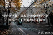 资源全搜集：黑料资源全天候记录中展现出的旷世真相逐条解读