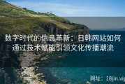 数字时代的信息革新：日韩网站如何通过技术赋能引领文化传播潮流