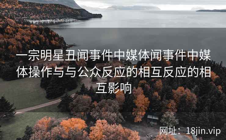 一宗明星丑闻事件中媒体闻事件中媒体操作与与公众反应的相互反应的相互影响