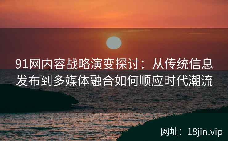 91网内容战略演变探讨：从传统信息发布到多媒体融合如何顺应时代潮流