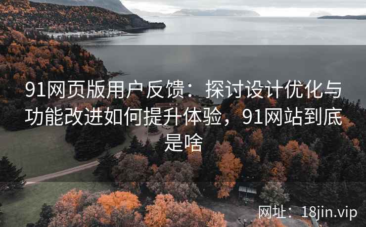 91网页版用户反馈：探讨设计优化与功能改进如何提升体验，91网站到底是啥