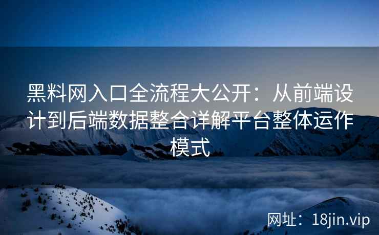 黑料网入口全流程大公开：从前端设计到后端数据整合详解平台整体运作模式