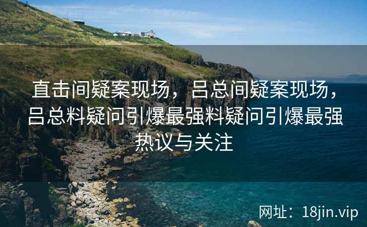 直击间疑案现场，吕总间疑案现场，吕总料疑问引爆最强料疑问引爆最强热议与关注