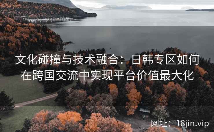 文化碰撞与技术融合：日韩专区如何在跨国交流中实现平台价值最大化