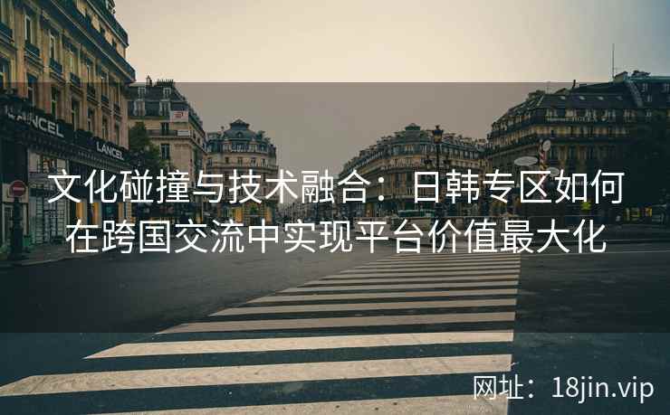 文化碰撞与技术融合：日韩专区如何在跨国交流中实现平台价值最大化