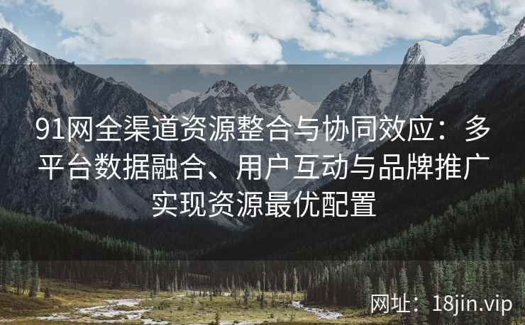 91网全渠道资源整合与协同效应：多平台数据融合、用户互动与品牌推广实现资源最优配置