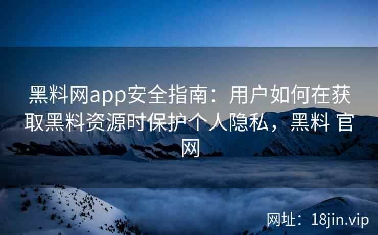 黑料网app安全指南：用户如何在获取黑料资源时保护个人隐私，黑料 官网