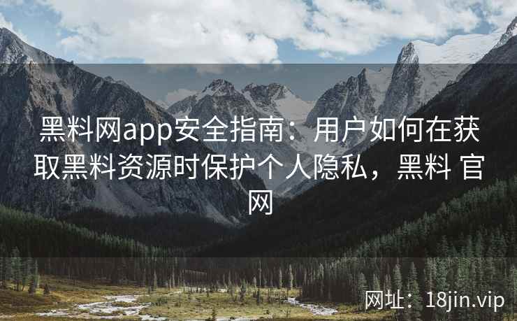 黑料网app安全指南：用户如何在获取黑料资源时保护个人隐私，黑料 官网