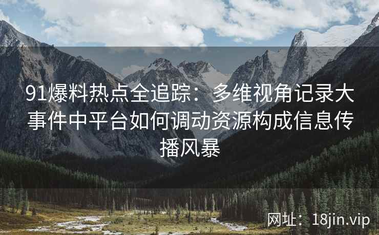 91爆料热点全追踪：多维视角记录大事件中平台如何调动资源构成信息传播风暴